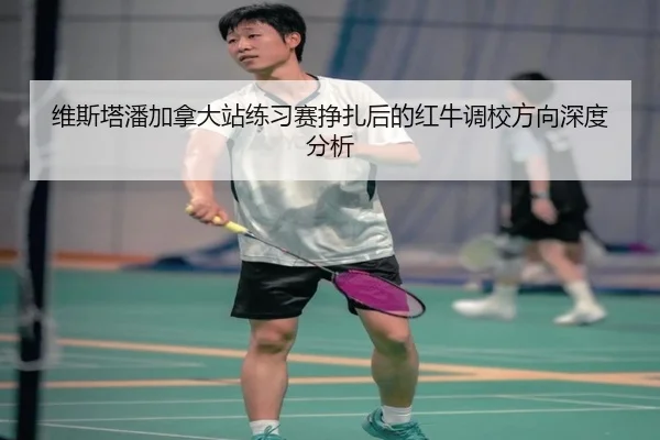 维斯塔潘加拿大站练习赛挣扎后的红牛调校方向深度分析 - leyu